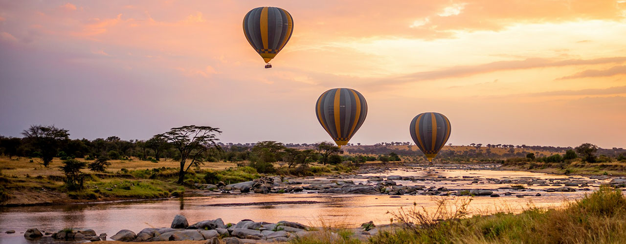 Wanderville Tours & Travel