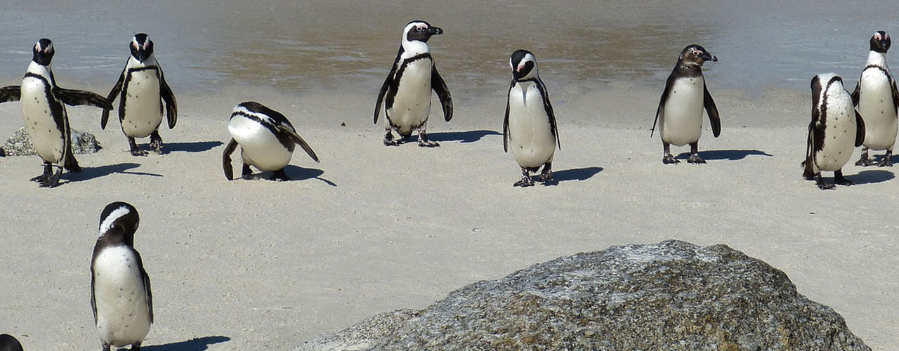 Wanderville Tours & Travel