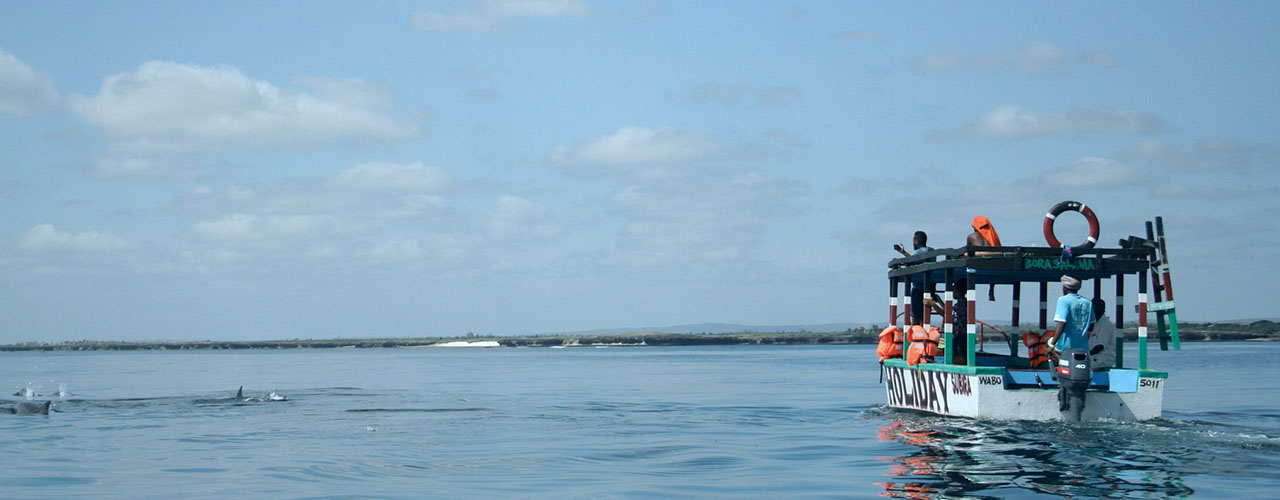 Wanderville Tours & Travel