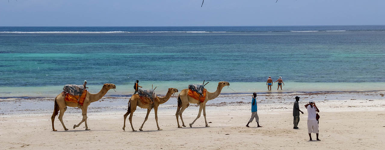 Wanderville Tours & Travel