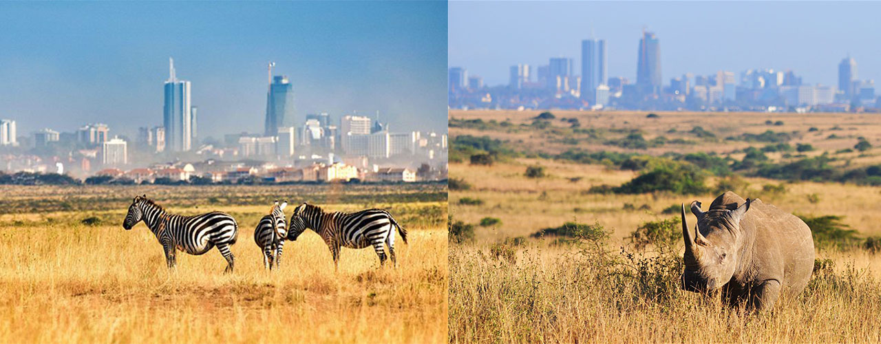 Wanderville Tours & Travel